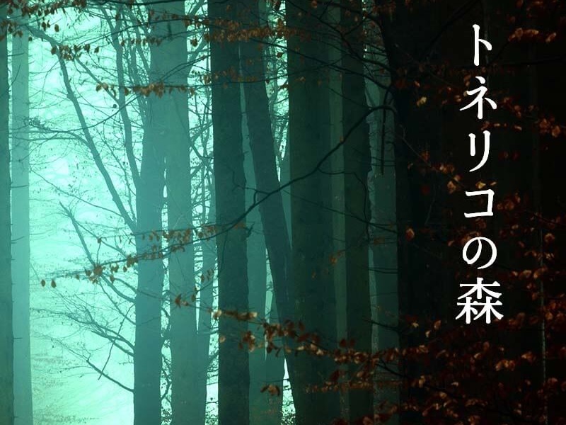 トネリコの森
